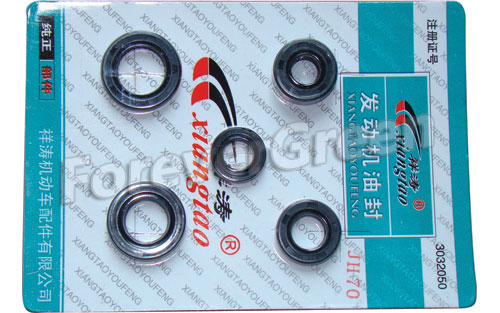 52057 O-Oil Ring